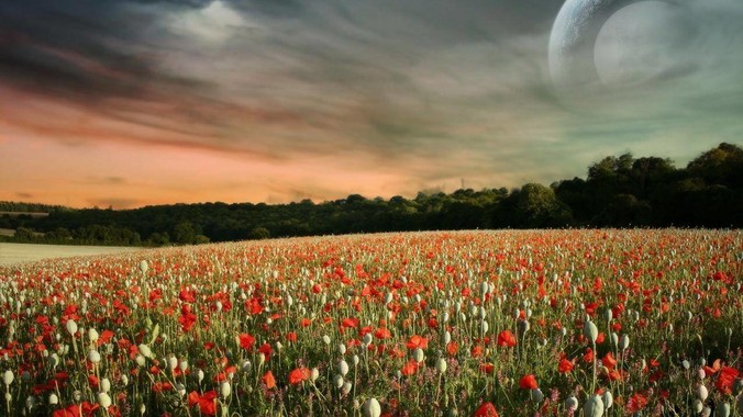 为什么国内程序员不喜欢写单元测试？